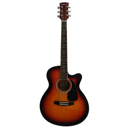 elektro gitar , gitar , gitar satış , müzik aleti , müzik evi , enstrüman , gitar satış , gitar alımı , 2. el gitar , antik müzik ,