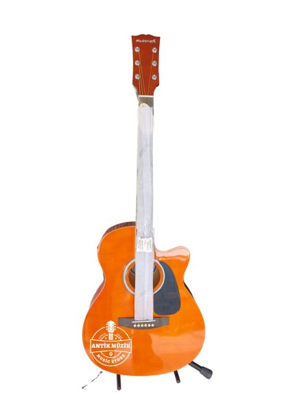 elektro gitar , gitar , gitar satış , müzik aleti , müzik evi , enstrüman , gitar satış , gitar alımı , 2. el gitar , antik müzik , cümbüş , Kesik Kasa , Motifli Kasa , Motifli Gitar