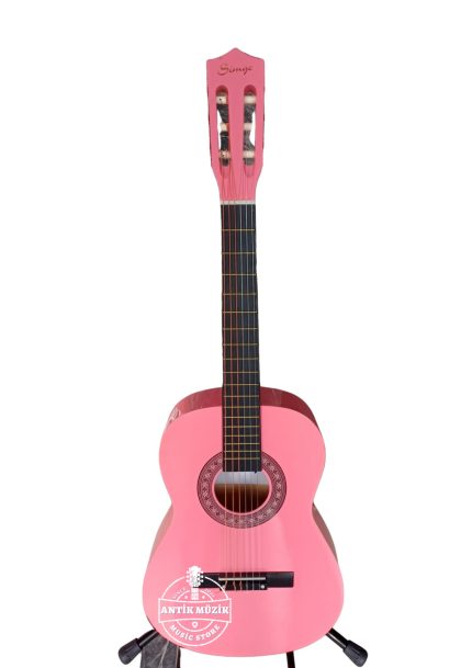 elektro gitar , gitar , gitar satış , müzik aleti , müzik evi , enstrüman , gitar satış , gitar alımı , 2. el gitar , antik müzik , cümbüş , Kesik Kasa , Motifli Kasa , Motifli Gitar